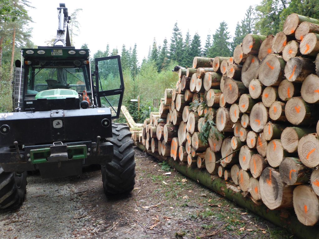 Das Holz wird als Abschnitt aufgepoltert (gelagert)...