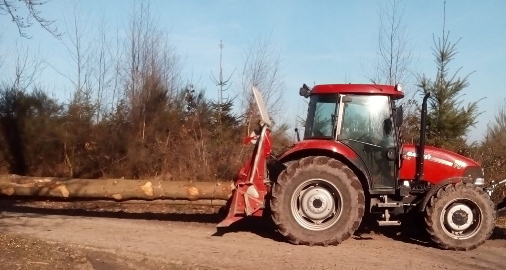...oder als Langholz. Hier: Die Baumstämme werden an den Weg gezogen.