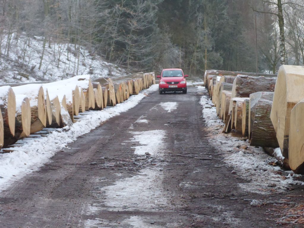 Die ganz hochwertigen Stämme kommen einmal im Jahr zum Einzelverkauf (Submission).
