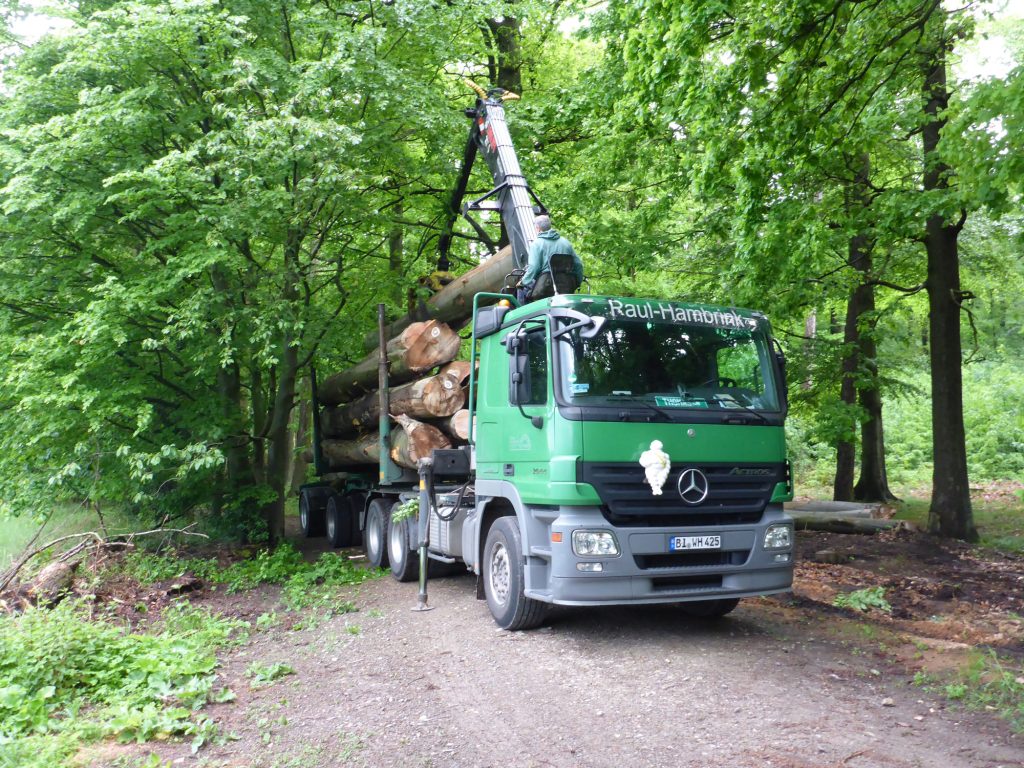 Nun muss das Holz noch zum Sägewerk gefahren werden.
