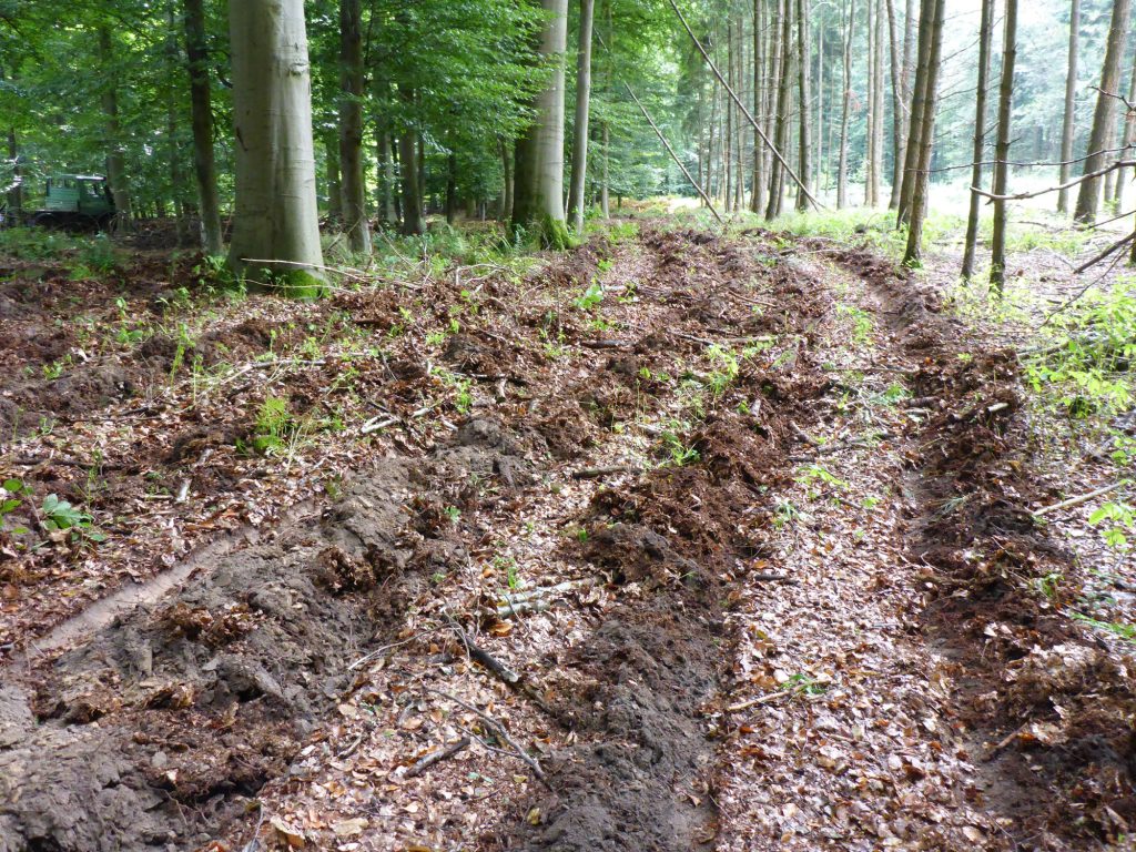 So sieht es nach dem Pflügen aus.